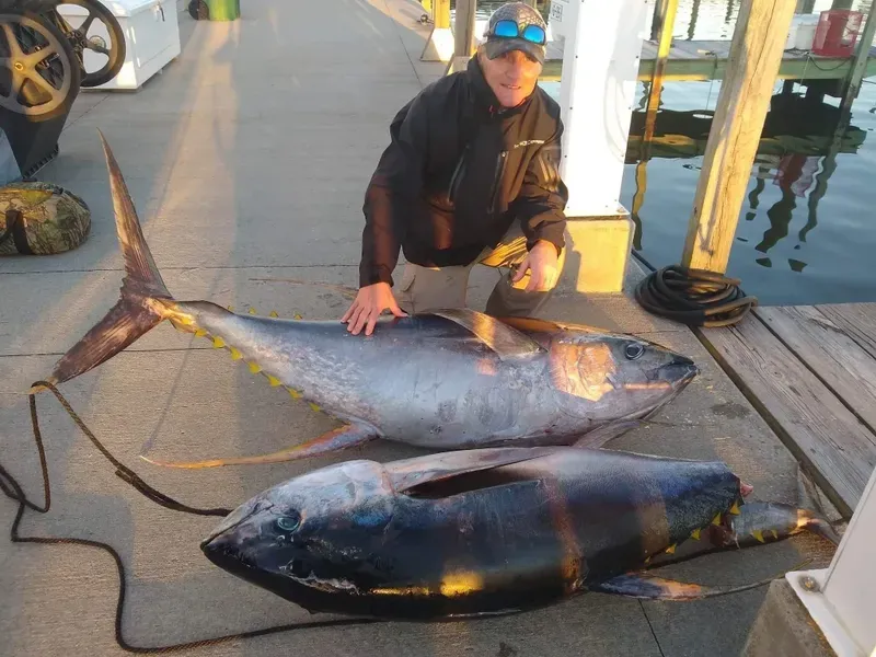 Tuna/sword/wahoo Fishing Biloxi MS