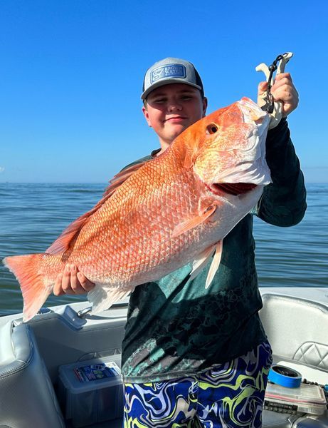 8 Hour Snapper Fishing 